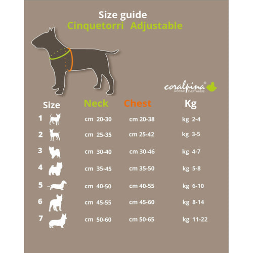 OUTLET CORALPINA Am za pse Cinquettori, podesiv, Tirkizni, velicina 25-35cm