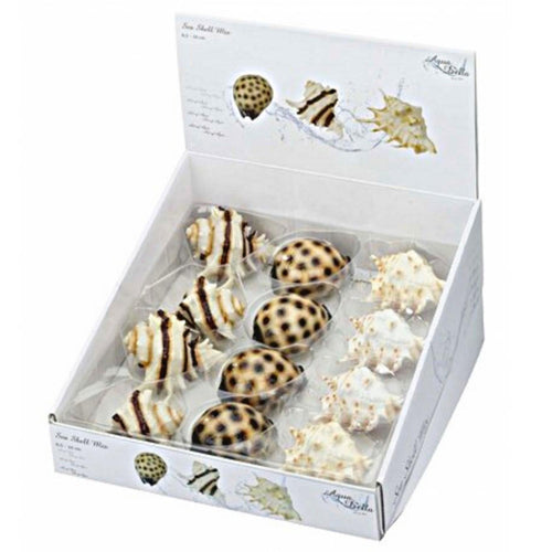 OUTLET EBI Aqua D'ella Ukras za akvarijum Skoljka miks 8,5-10cm