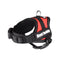 OUTLET FLAMINGO Am za pse Best Buddy Pluto Crveni