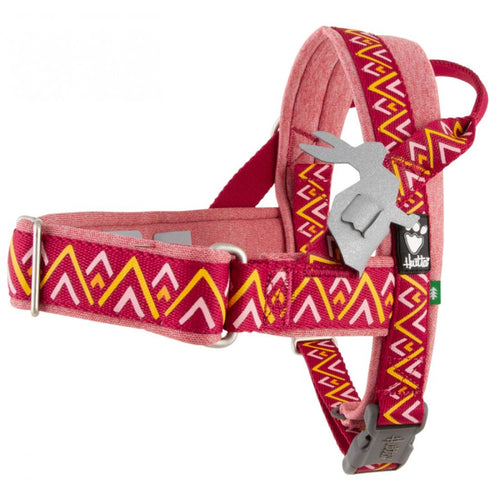 OUTLET HURTTA Am za pse Razzle Dazzle Nordic Beetroot