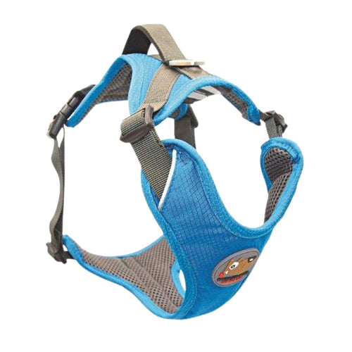 OUTLET MATIS Am za pse Comfort, Aqua