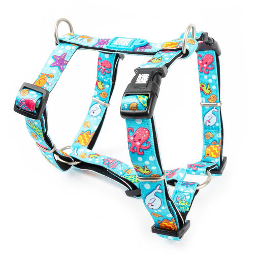 OUTLET MAX & MOLLY Am za pse H Blue Ocean