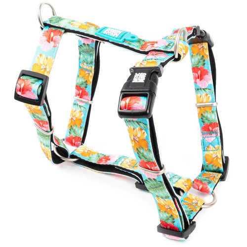 OUTLET MAX & MOLLY Am za pse H Exotique