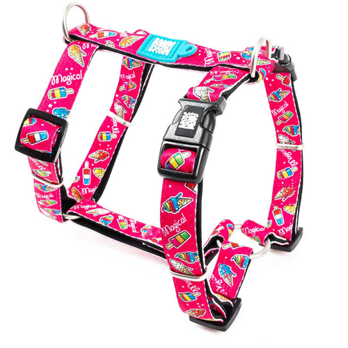 OUTLET MAX & MOLLY Am za pse H Magical