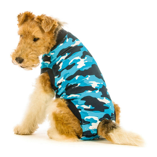 OUTLET SUITICAL Kaputic za oporavak za pse, Plavi