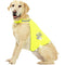 PAWISE Prsluk za pse Safety Vest Night Walk reflektujući, s čičak trakom