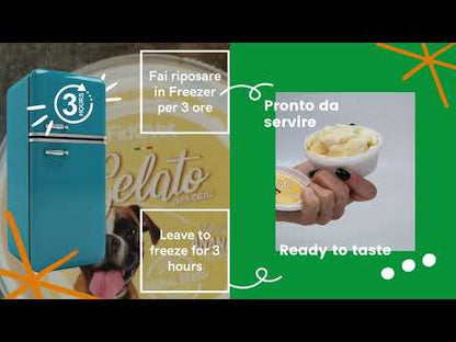 FIDOVET Gelato Sladoled za pse, s ukusom ananasa, 40g