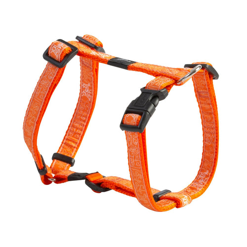 RO  kl  am M Orange Doodle