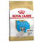 ROYAL CANIN BHN French Bulldog PUPPY