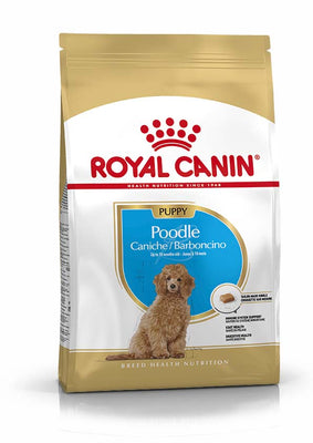 ROYAL CANIN BHN Poodle PUPPY