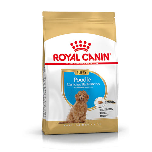 ROYAL CANIN BHN Poodle PUPPY, 500g