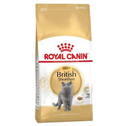 ROYAL CANIN FBN Adult British Shorthair