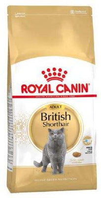ROYAL CANIN FBN Adult British Shorthair