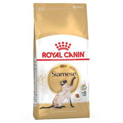 ROYAL CANIN FBN Adult Siamese