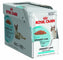 ROYAL CANIN FHW Kesica za mačke Urinary Care u sosu, 12x85g
