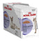 ROYAL CANIN FHW Kesice za mačke Digest Sensitive u sosu, 12x85g
