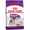 ROYAL CANIN SHN Giant Adult, 15kg