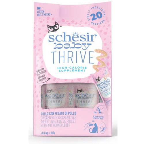 SCHESIR Baby Thrive Mousse za macice KITTEN s piletinom i dzigericom, 20x8g